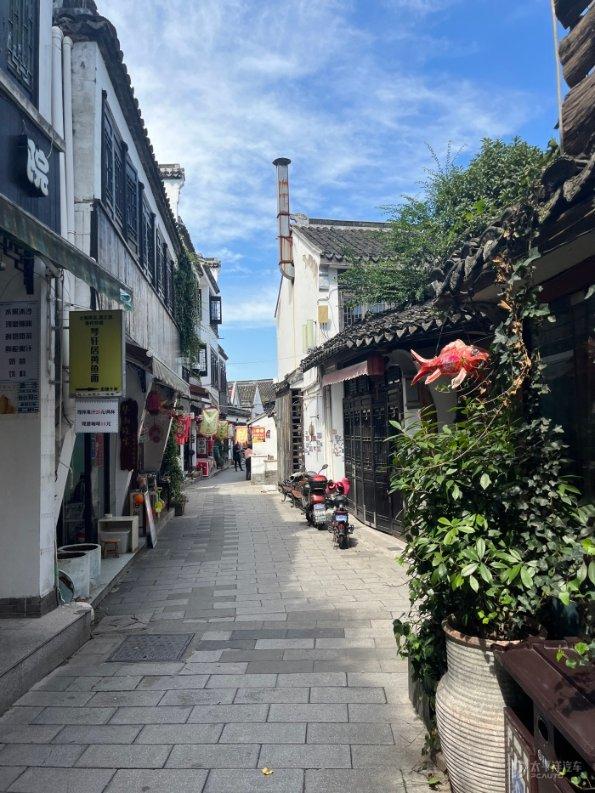 拯救枯树
